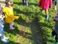 IMG_20230316_095503