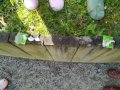IMG_20230316_105118