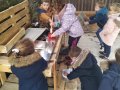 IMG_20221124_110817