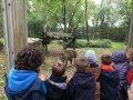 IMG_8352