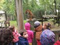 IMG_8354