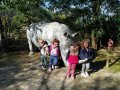 IMG_20211015_115625